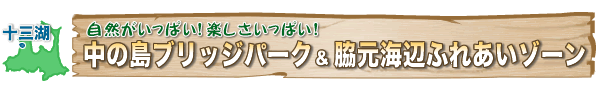 中の島ブリッジパーク・脇元海辺ふれあいゾーン