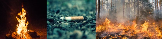 焚火、煙草のポイ捨て、山火事