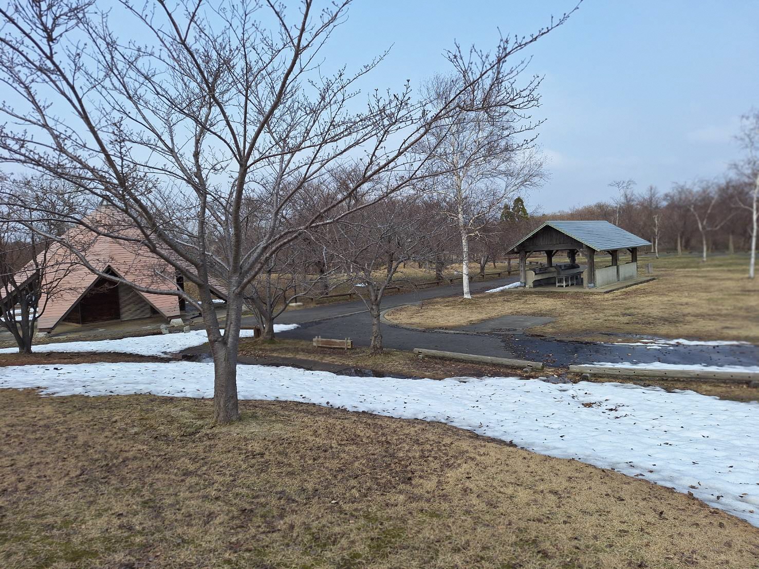 オートキャンプ場
