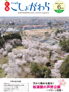 桜満開の芦野公園