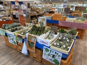 産直メロス野菜出荷状況