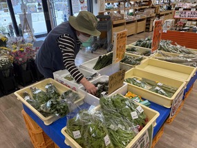 産直メロス野菜出荷の様子